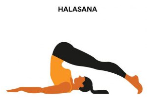 Halawana Yoga Master in Palakkad