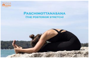 Paschimottanasana Yoga Master in Palakkad